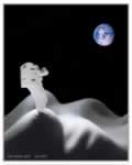 The Venus Trip