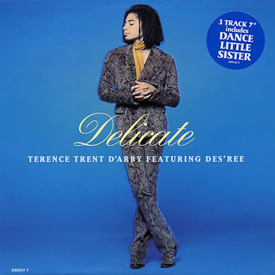 Terence Trent D'Arby - Delicate - Sleeve image