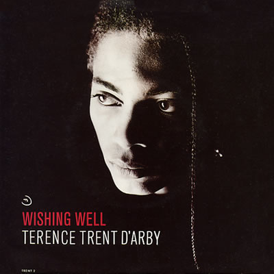 Terence Trent D'Arby - Wishing Well - Sleeve image