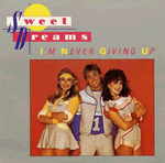 Vinyl record sleeve - I'm Never Giving You Up