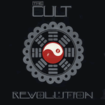 Vinyl record sleeve - Revolution