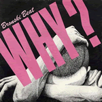 Vinyl record sleeve - Why ?