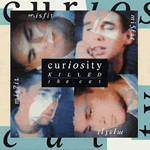 Vinyl record sleeve - Misfit