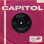 Vinyl record sleeve - I'll Never Fall In Love Again