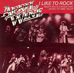 Vinyl record sleeve - I Like To Rock / Rock-n-Roll is a Vicious Game