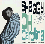 Vinyl record sleeve - Oh Carolina