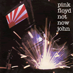 Vinyl record sleeve - Not Now John