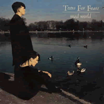 Vinyl record sleeve - Mad World