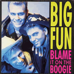 Vinyl record sleeve - Blame It On The Boogie