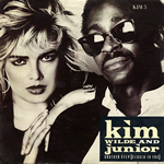 Vinyl record sleeve - Another Step (Closer to You)