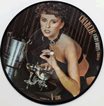 Vinyl record sleeve - Fight Dirty