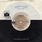 Vinyl record sleeve - Silver Lady