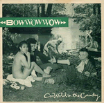 Vinyl record sleeve - Go Wild In The Country