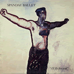 Vinyl record sleeve - I'll Fly For You