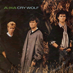 Vinyl record sleeve - Cry Wolf