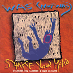Vinyl record sleeve - Shake Your Head