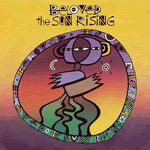 Vinyl record sleeve - The Sun Rising